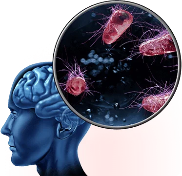 how-dose-the-memory-wave-work